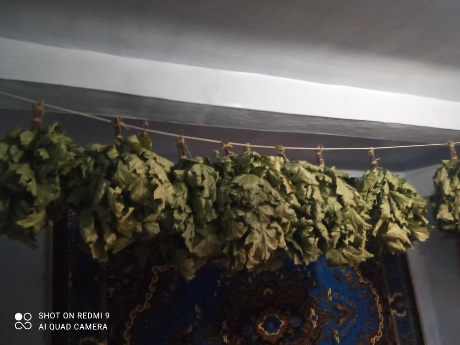 Віник дубовий для сауни, бані