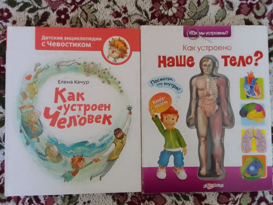 Книги Как устроен человек       Как устроено наше тело