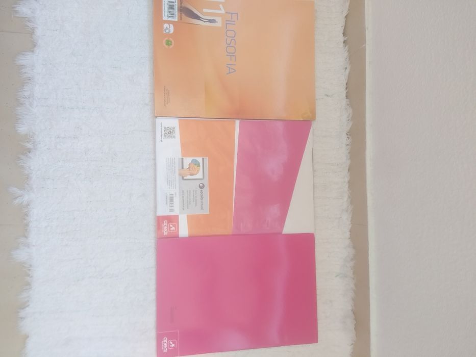 Cadernos de preparação para o exame nacional de Filosofia