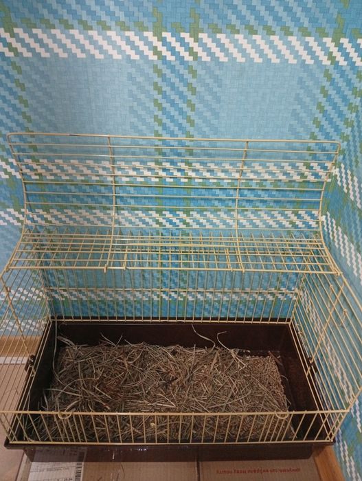 Клітка для гризунів