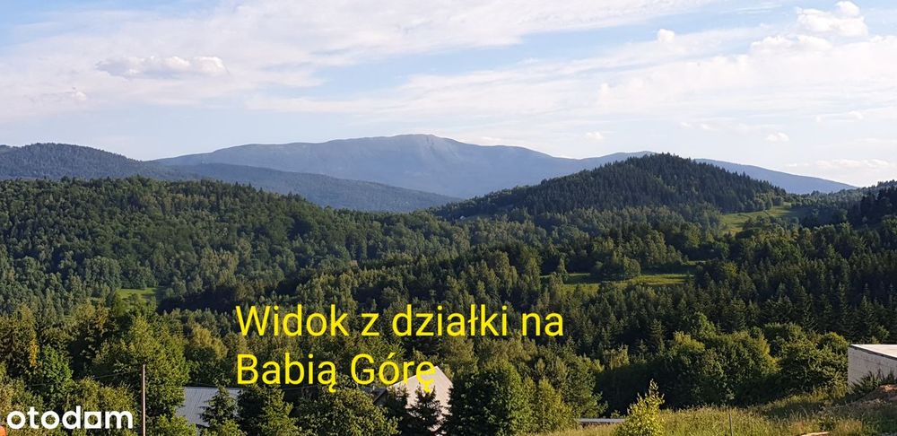 Zdjęcie 8