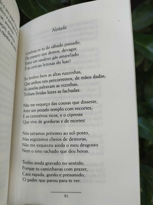 Pequeno Livro (Cesário Verde) - Poesia