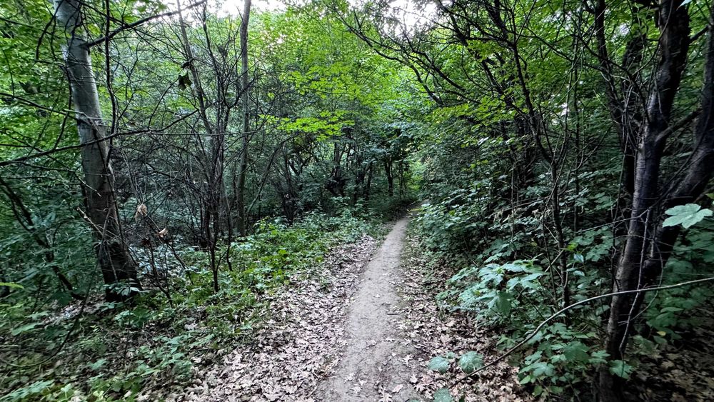 Продаж землі комерційного призначення, Львів, вул. Ланова