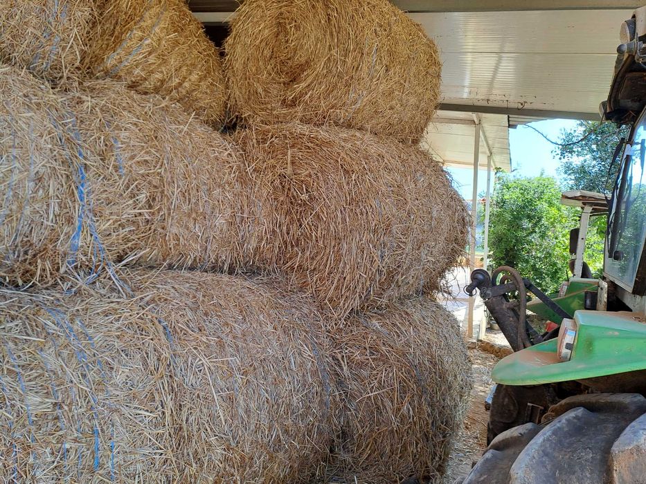 Feno deste ano à venda