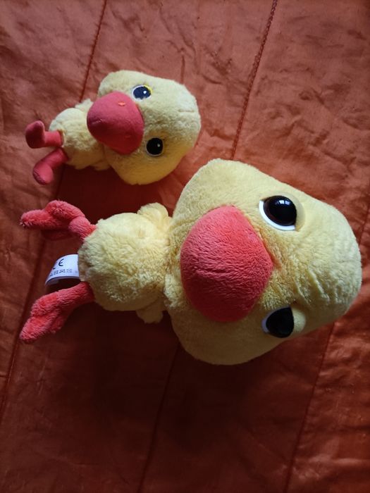 Pinto e pintainho coleção lidl