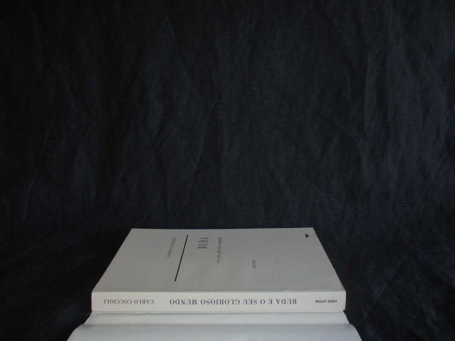 Livro Buda e o seu glorioso mundo Carlo Coccioli