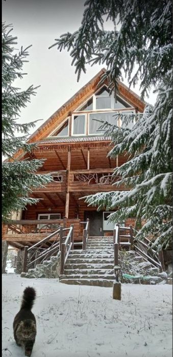 Оренда котеджу на 17 осіб біля лісу (Буковель)