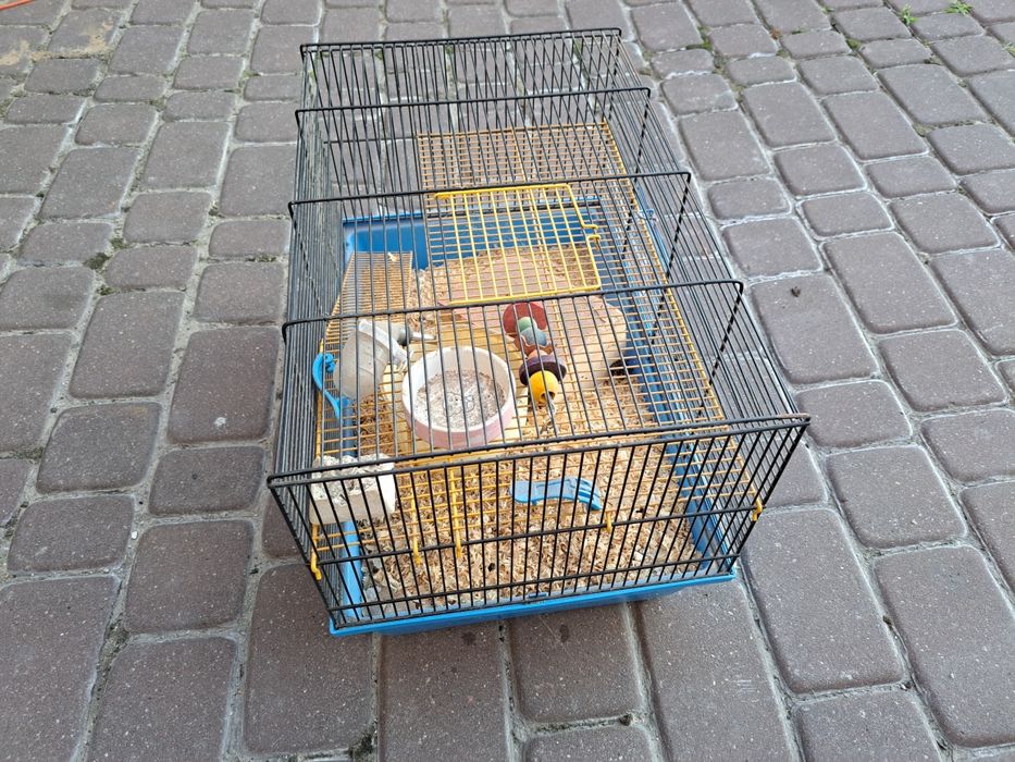 Klatka dla chomika
