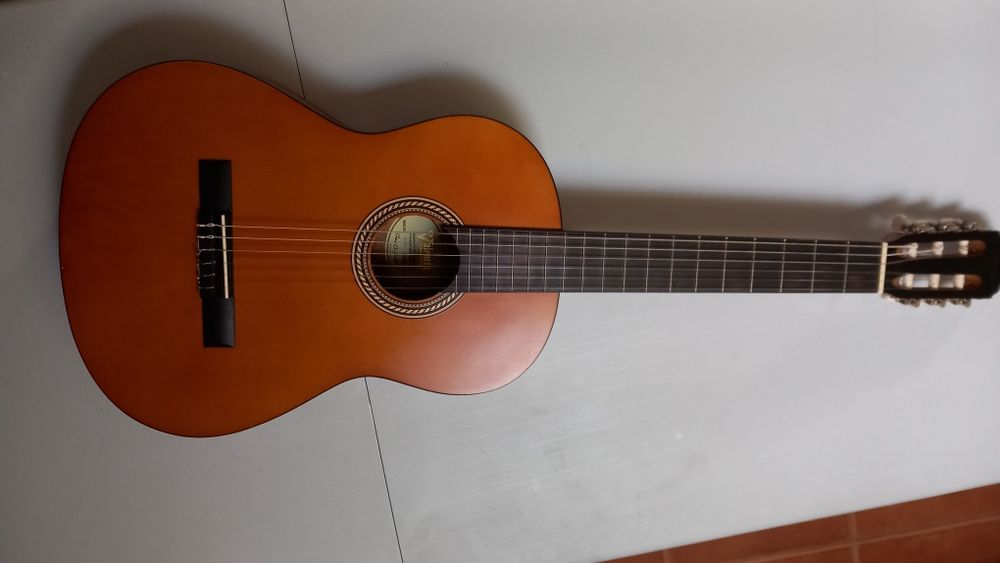 Guitarra  com saco