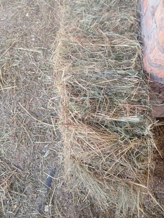 Продам сіно в тюках