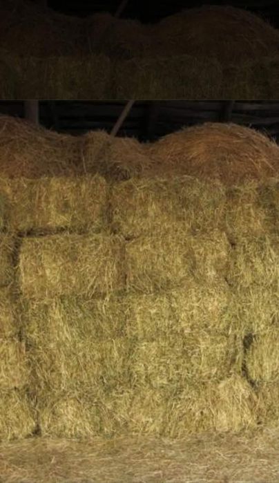 Тюки соломи,сіна