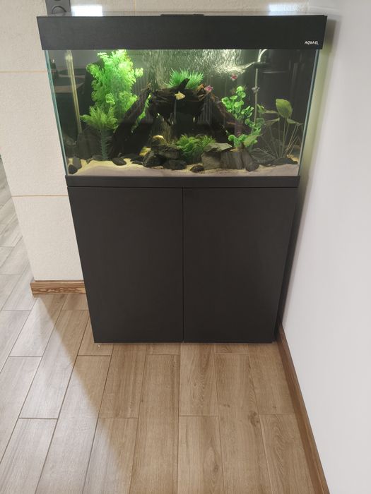 Akwarium Aquael OptiSet 125 Wyposażenie