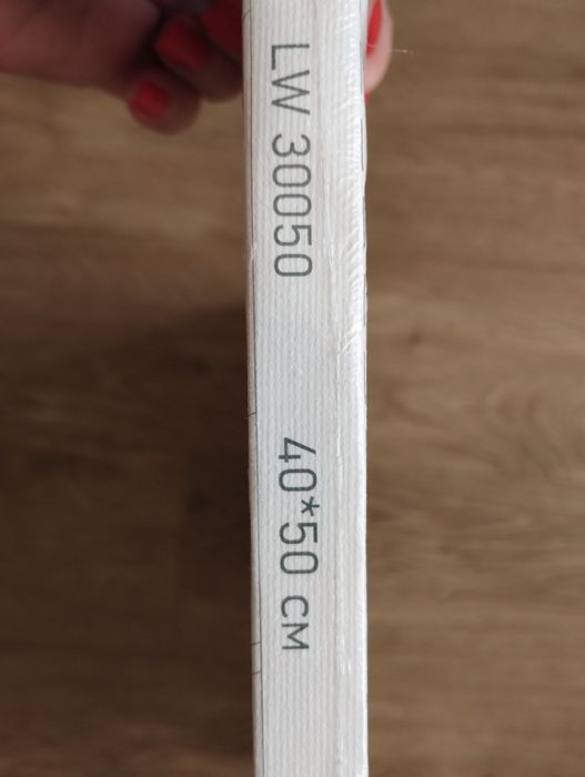 Картина по номерам Скрудж МакДак 40х50 LW 30050