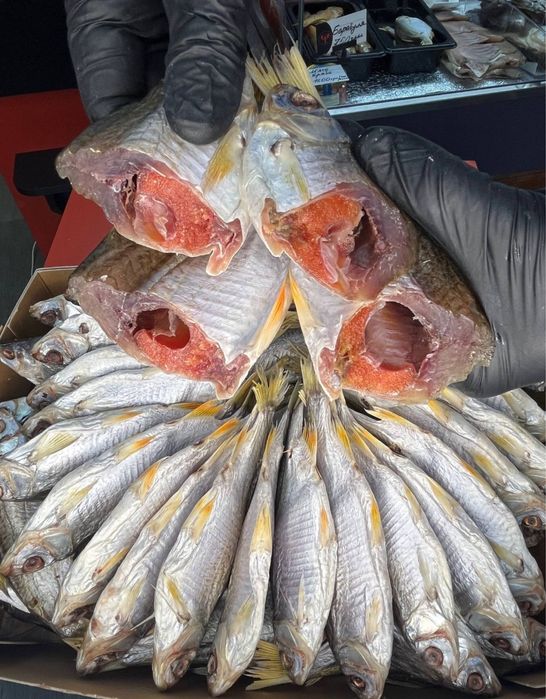 Риба плотва тарань гурт і роздріб