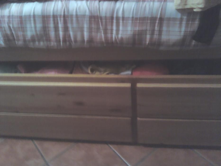 Cama dupla em madeira pinho Nova