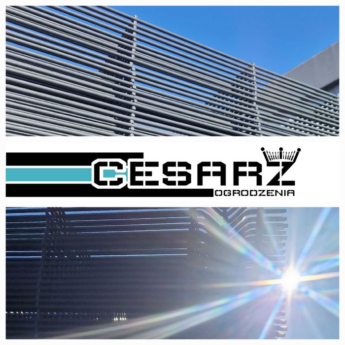 Panel ogrodzeniowy 1,23 fi 5 kolor