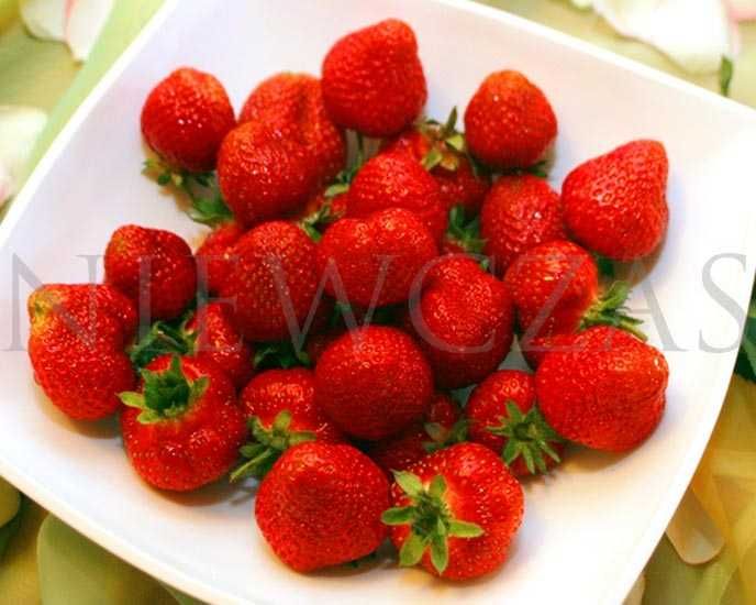 SADZONKI TRUSKAWEK ZIELONE – Silne, Zdrowe od Niewczas Szkółka