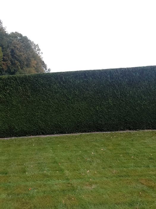 Pielęgnacja ogrodów, działek, koszenie trawy, przycinka oraz wycinka.