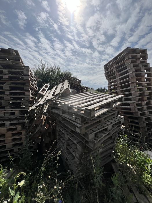 Піддони- палети продам бу