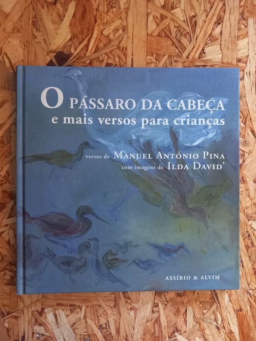 O Pássaro da Cabeça
