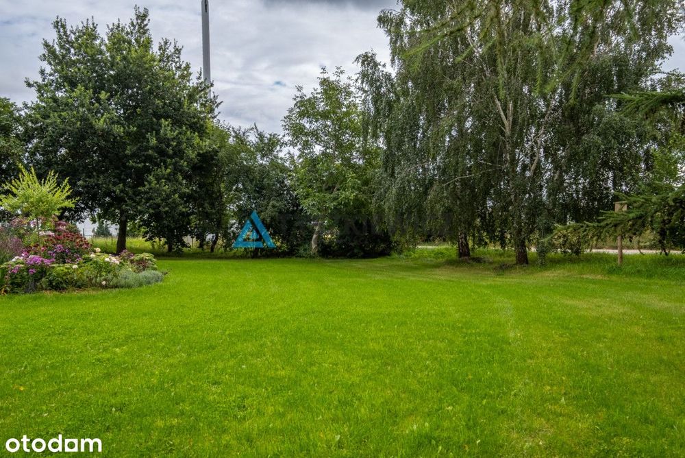 Zdjęcie 6