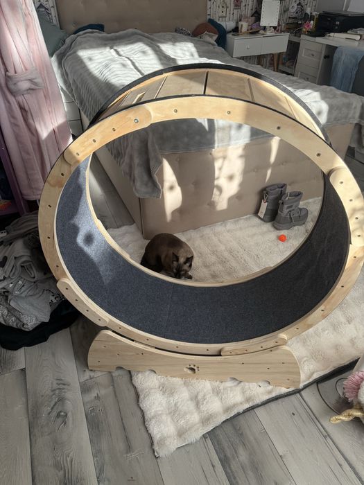 Koło dla kota do chodzenia bieżnia kołowrotek