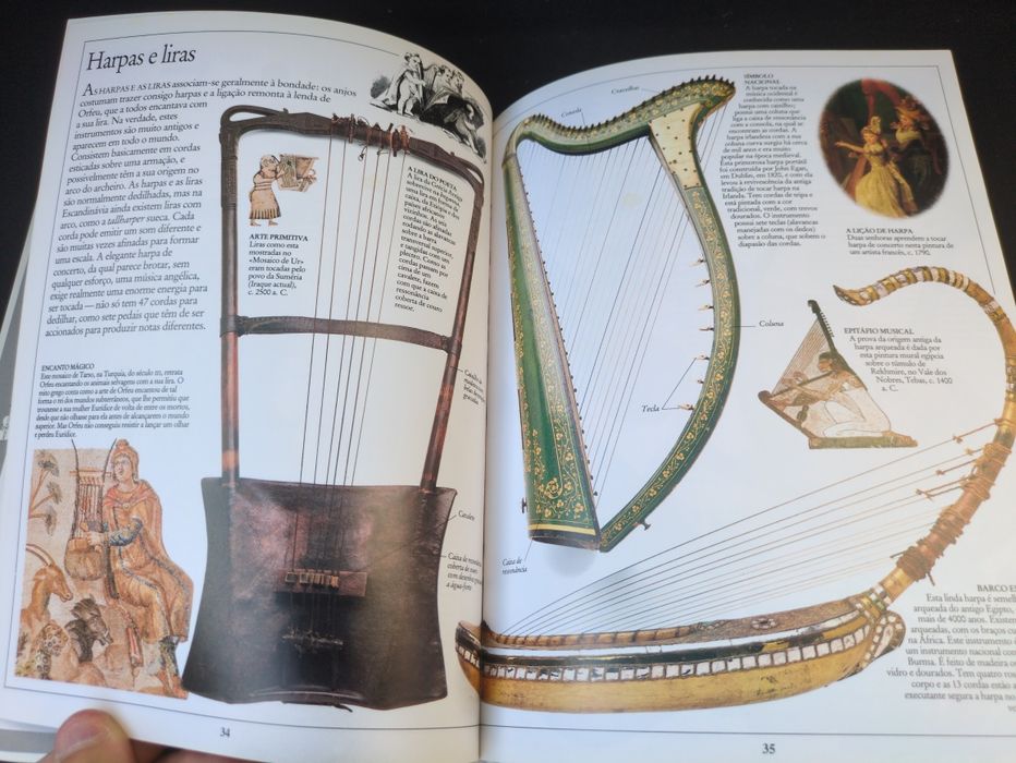 Música e a Evolução dos Instrumentos Musicais
