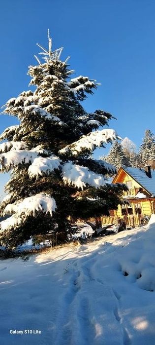 domki noclegi w górach Pieniny, Czorsztyn, Falsztyn