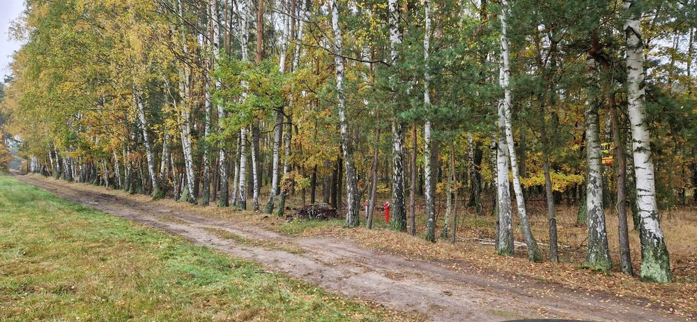 Działka budowlana Budy Grzybek 1512mkw // ostatnie na Żbika