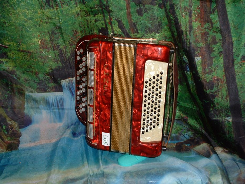 Acordeão Avenda R 597