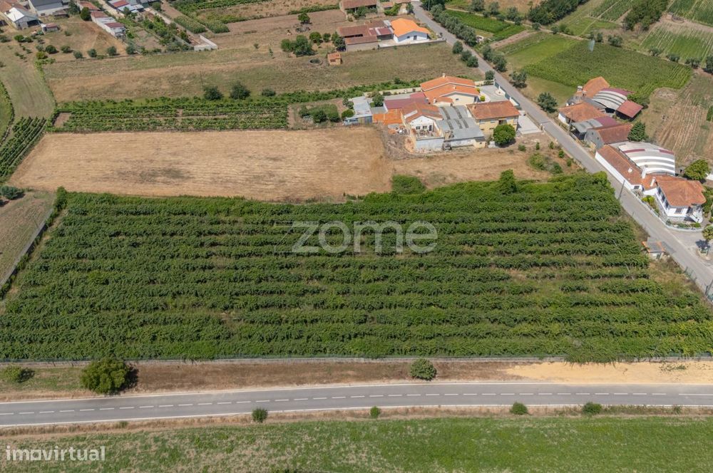 Terreno Terreno Urbanizável com Pomar Kiwis e Poço – Paredes do Bai...