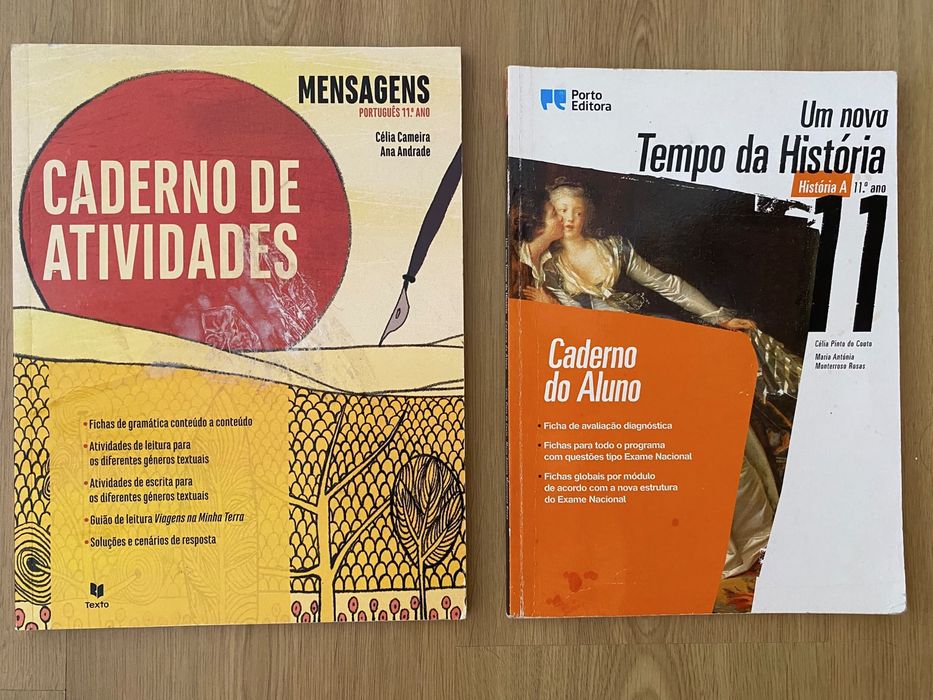 Cadernos de atividades 11. Ano