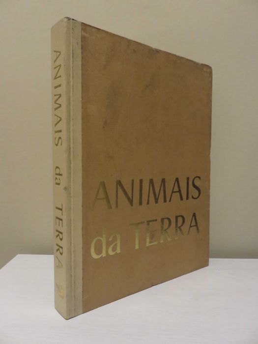 Animais da Terra (envio grátis)