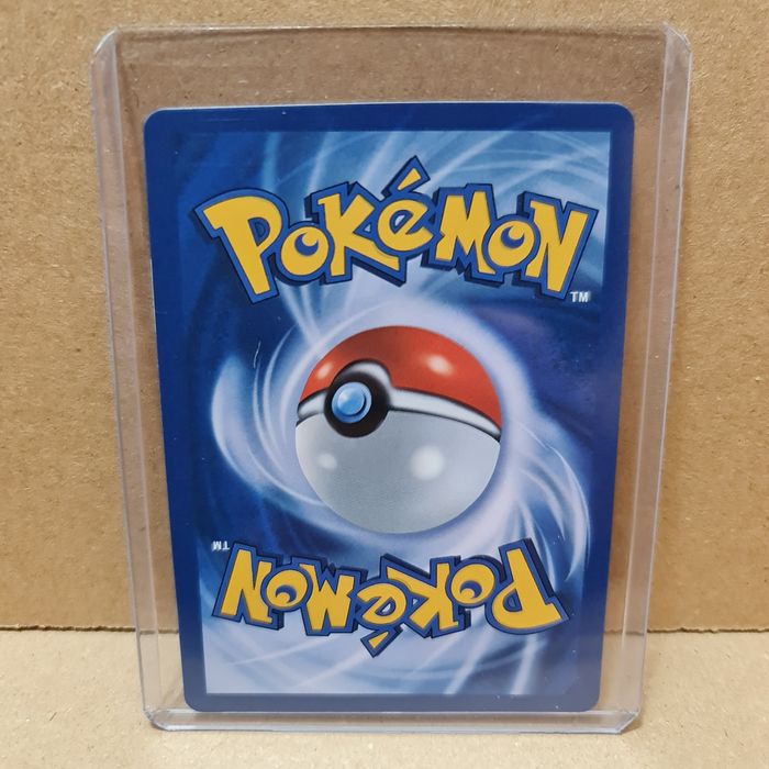 Carta Pokémon Raikou 13/64 - Capa Protetora Incluída