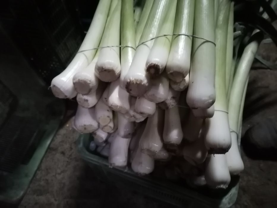 Wiązka por 10 sztuk wysyłka inpost od rolnika