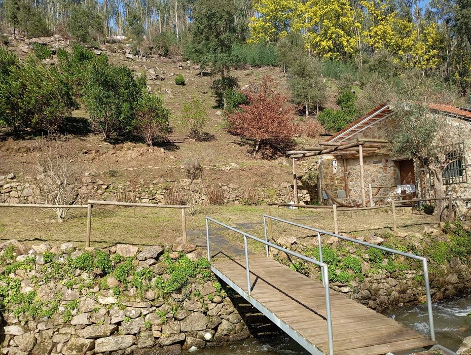 Limpeza de terrenos agrícolas