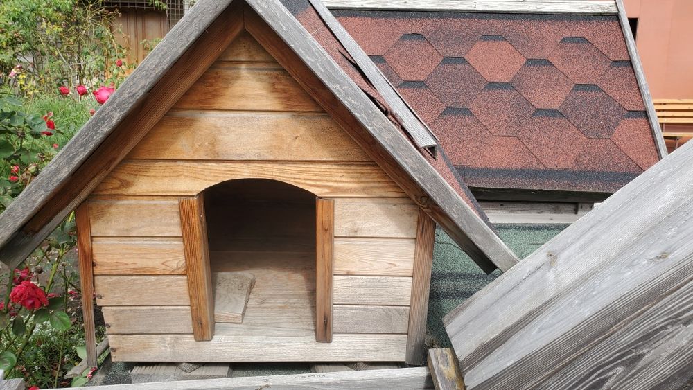 Буди для котів та собак