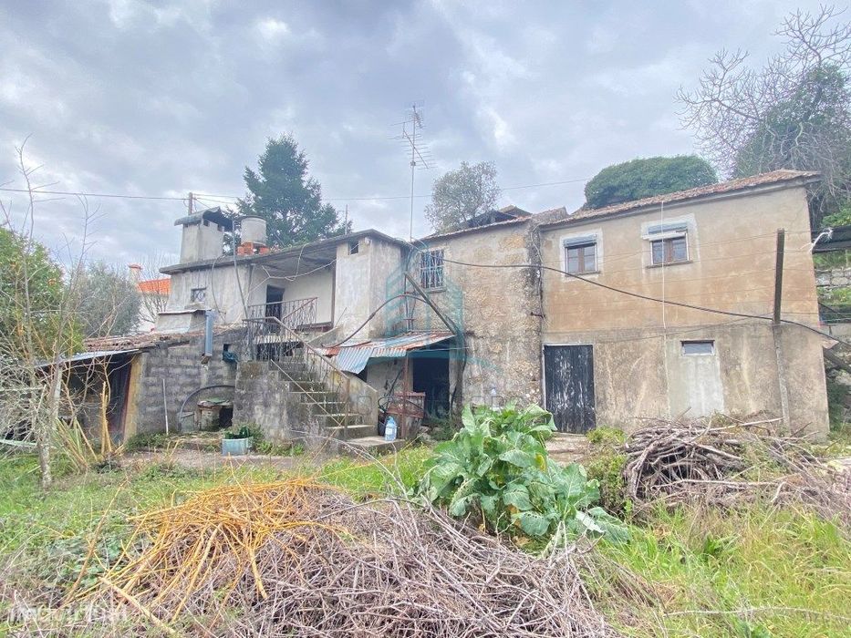 Quinta com Moradia para Recuperar e Terreno rústico | Baião| Douro