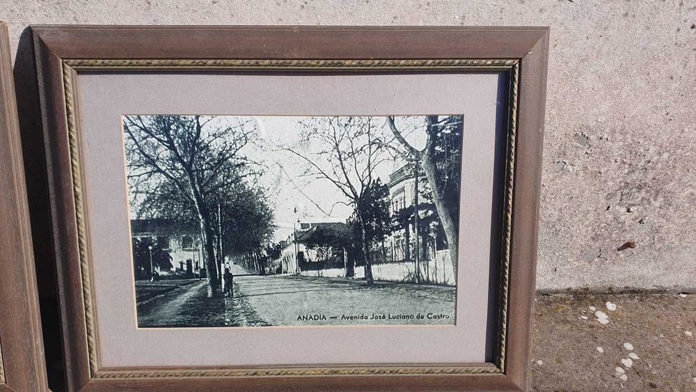 Quadros de Anadia - Capital da Bairrada