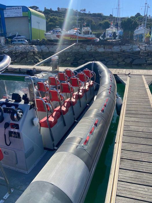 Semi-Rígido Narwhal