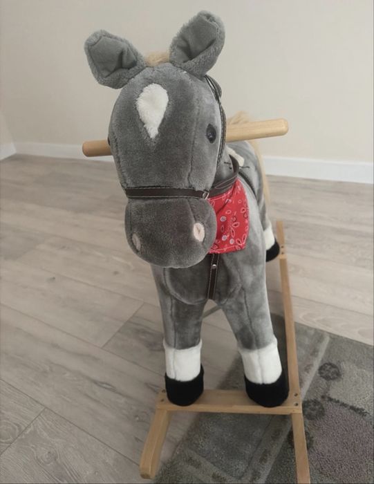Konik na biegunach