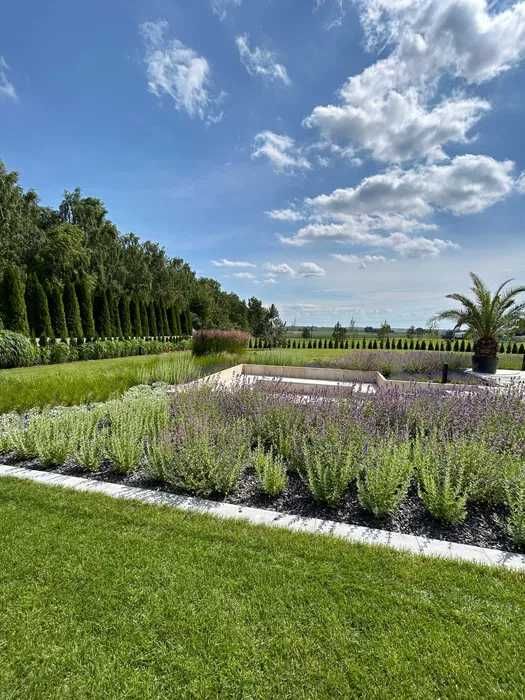 Projektowanie i kompleksowa realizacja ogrodów, roboty koszące