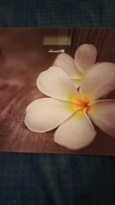 Waga łazienkowa Łucznik