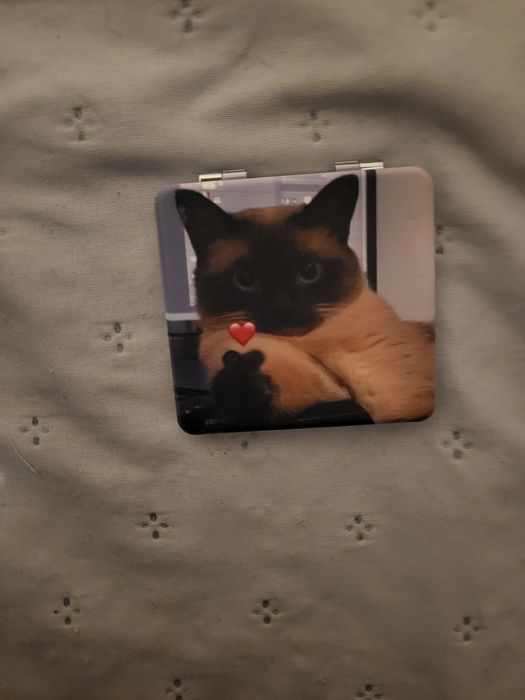 Карманное зеркало с кошкой