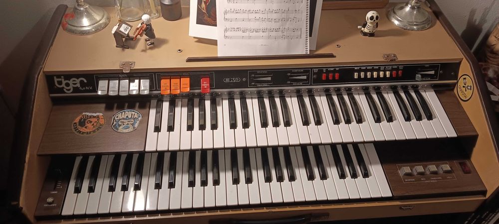 Órgão Tiger rock n roll