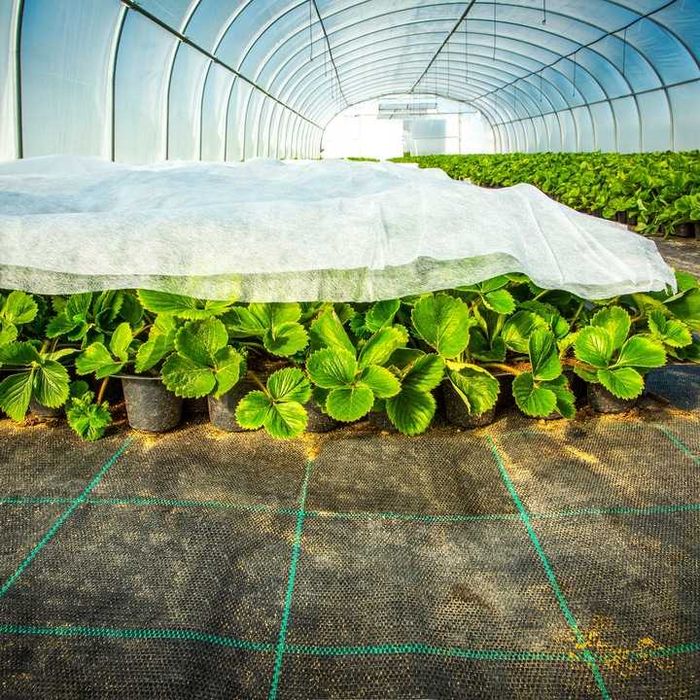 Agrowłóknina P30 12.65x100m  Producent NaturSorte