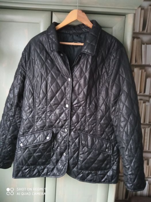 Kurteczka przejsciowa