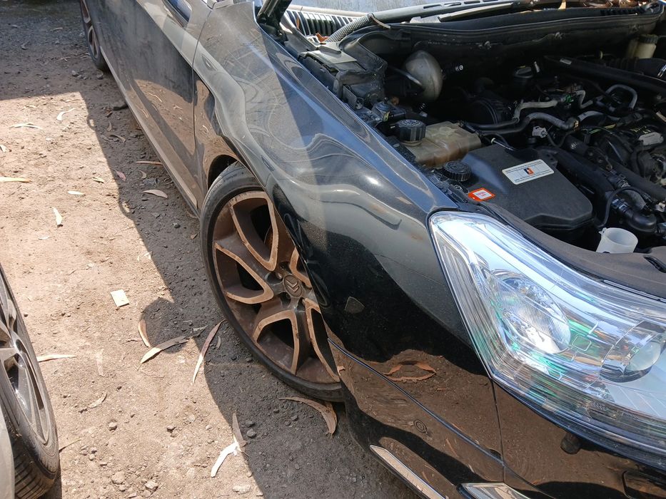 Guarda-lamas direito CITROËN C5 III Break (RW_)