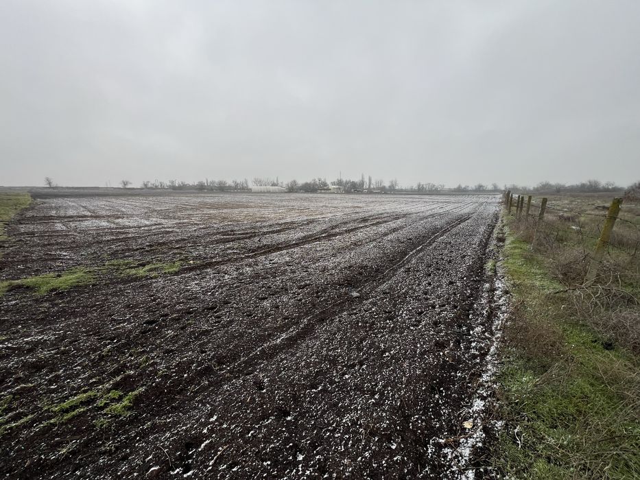 Сдам в аренду землю 6 Га на поливе