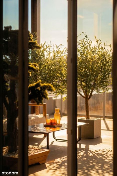 TOP Apartament 4P Muchowiec All in